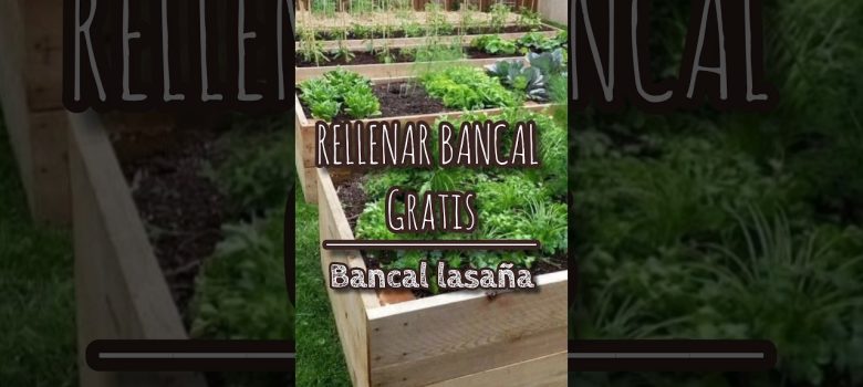 Mantenimiento de cerraduras comunitarias en costa